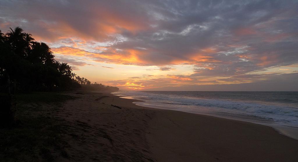 Seven Turtles Hotel Tangalle Exterior photo