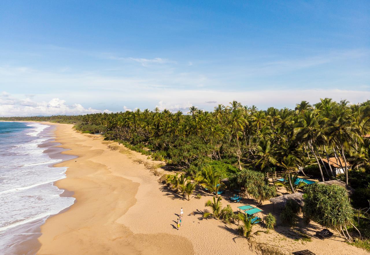 Seven Turtles Hotel Tangalle Exterior photo